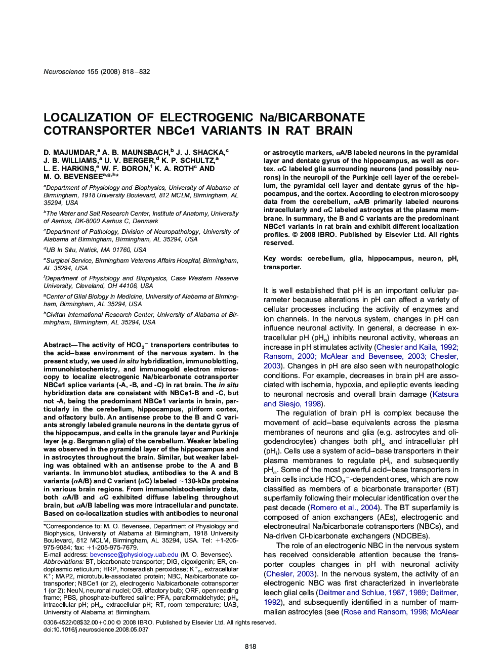 Localization of electrogenic Na/bicarbonate cotransporter NBCe1 variants in rat brain