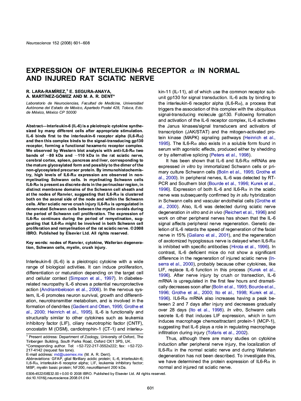 Expression of interleukin-6 receptor α in normal and injured rat sciatic nerve