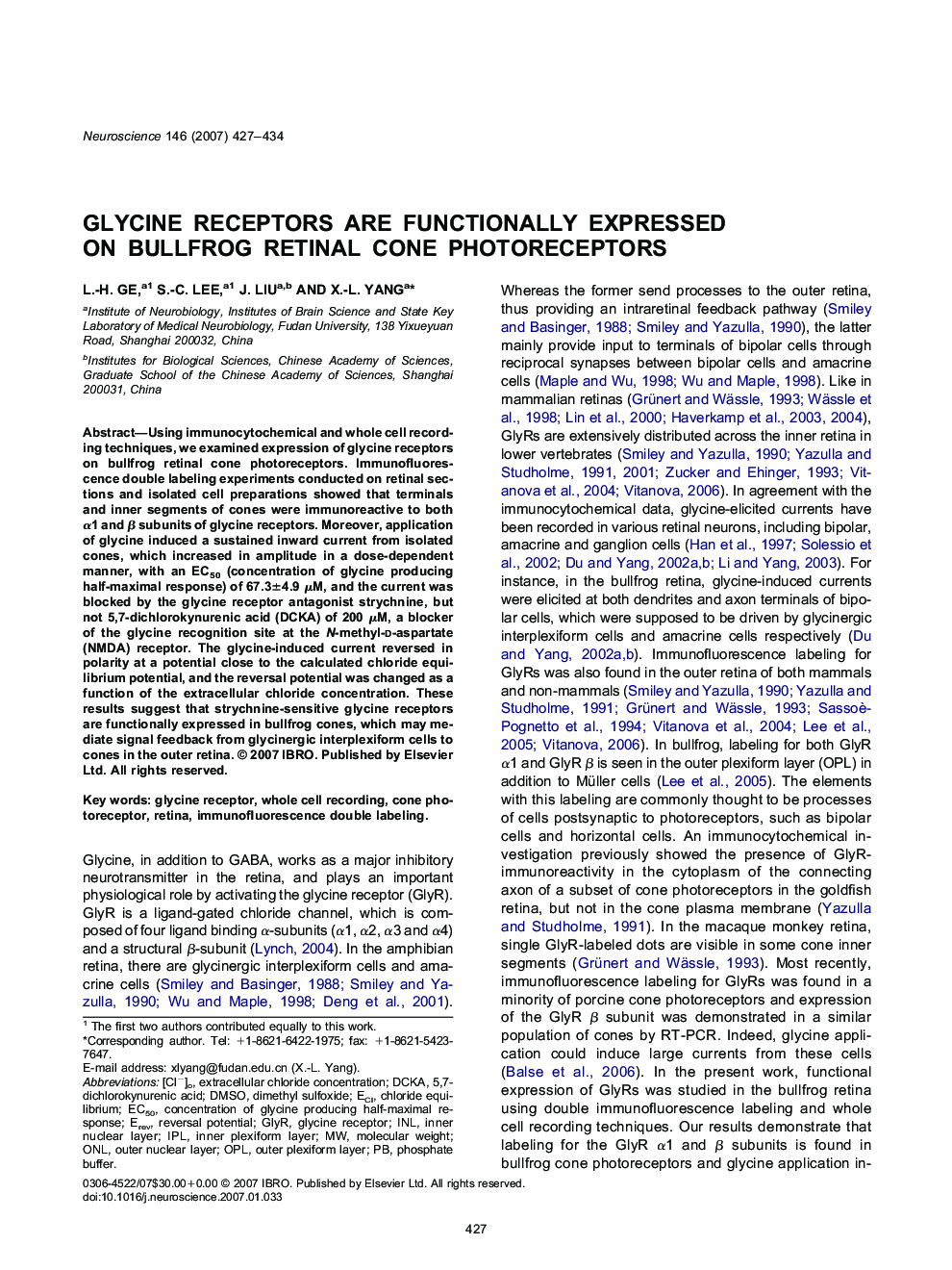 Glycine receptors are functionally expressed on bullfrog retinal cone photoreceptors