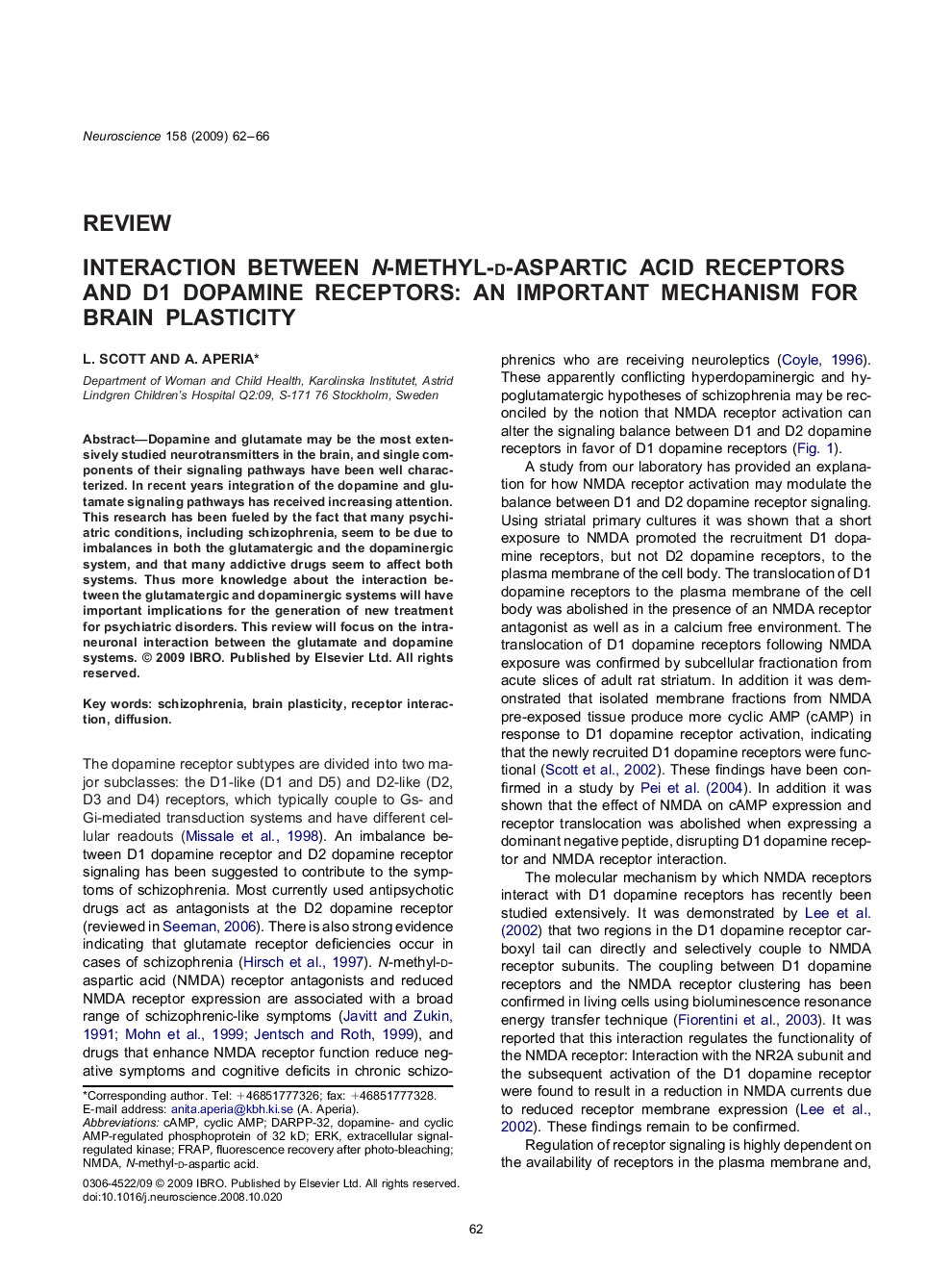 Interaction between N-methyl-d-aspartic acid receptors and D1 dopamine receptors: An important mechanism for brain plasticity