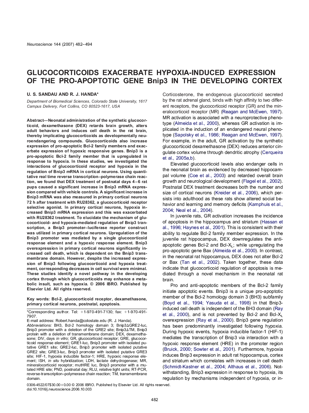 Glucocorticoids exacerbate hypoxia-induced expression of the pro-apoptotic gene Bnip3 in the developing cortex