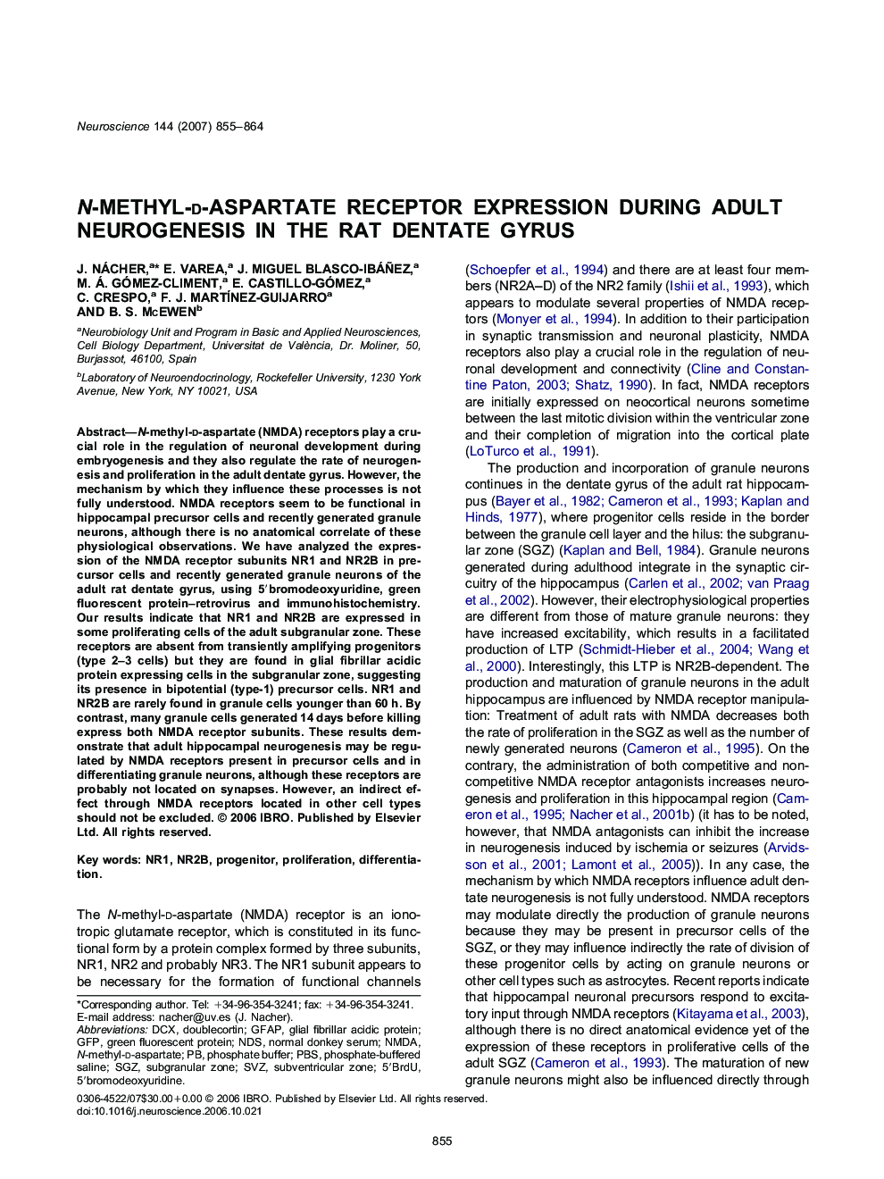 N-methyl-d-aspartate receptor expression during adult neurogenesis in the rat dentate gyrus