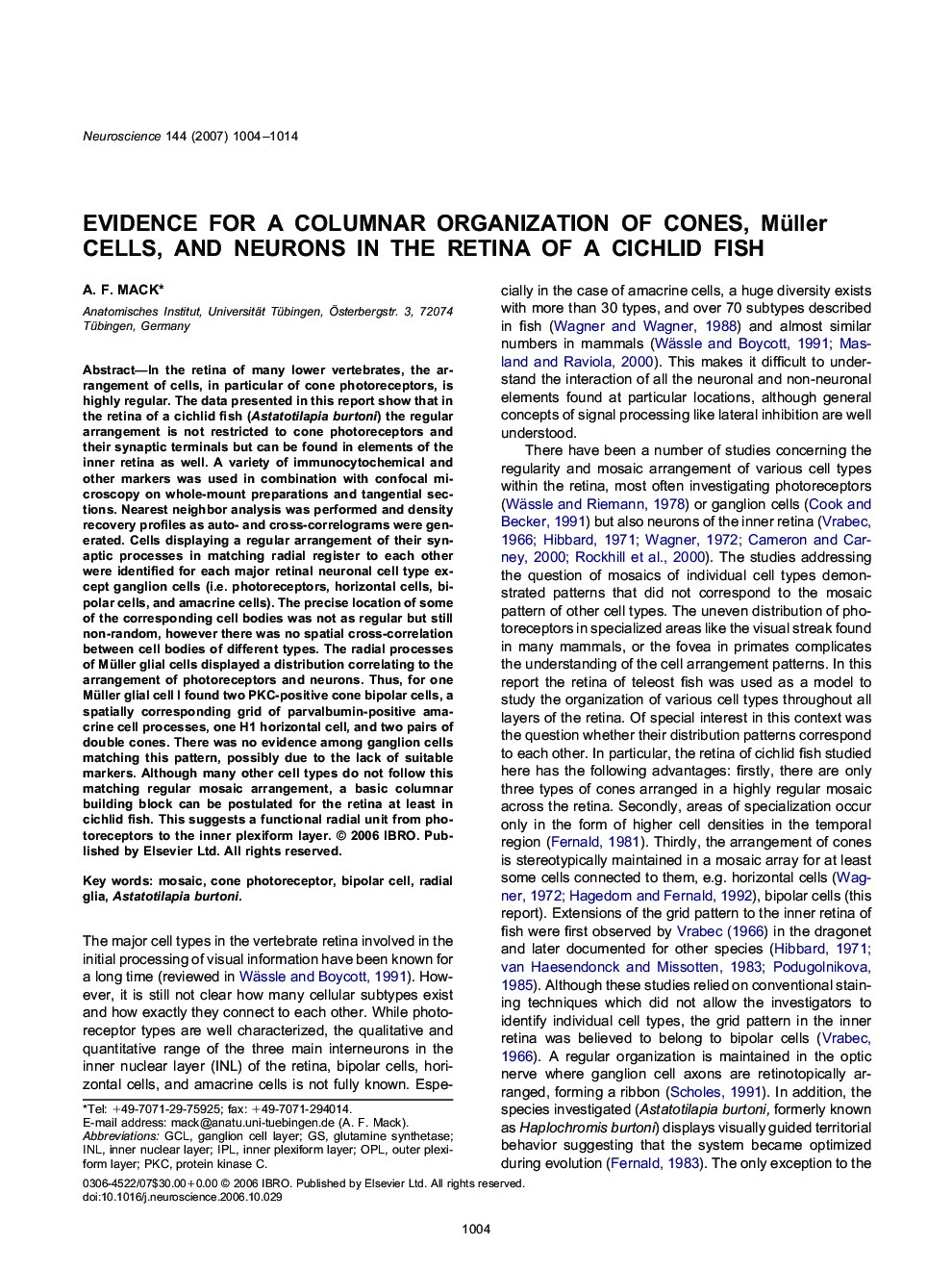 Evidence for a columnar organization of cones, Müller cells, and neurons in the retina of a cichlid fish