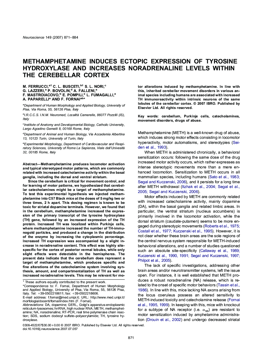 Methamphetamine induces ectopic expression of tyrosine hydroxylase and increases noradrenaline levels within the cerebellar cortex