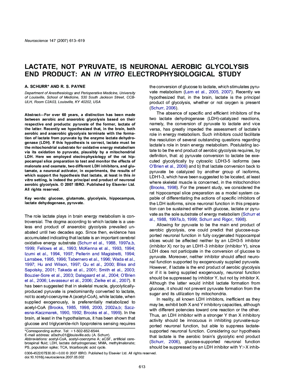 Lactate, not pyruvate, is neuronal aerobic glycolysis end product: An in vitro electrophysiological study