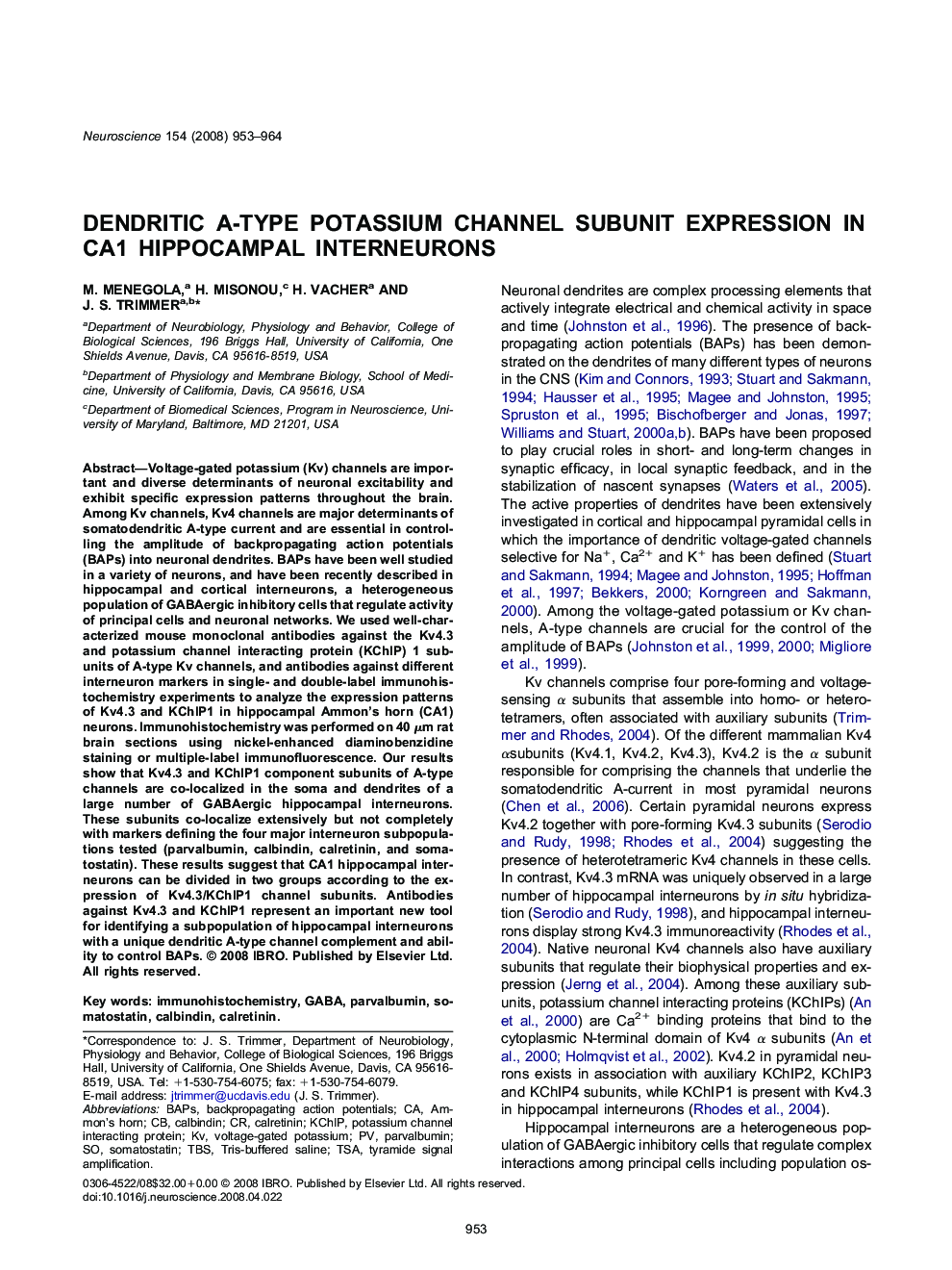 Dendritic A-type potassium channel subunit expression in CA1 hippocampal interneurons