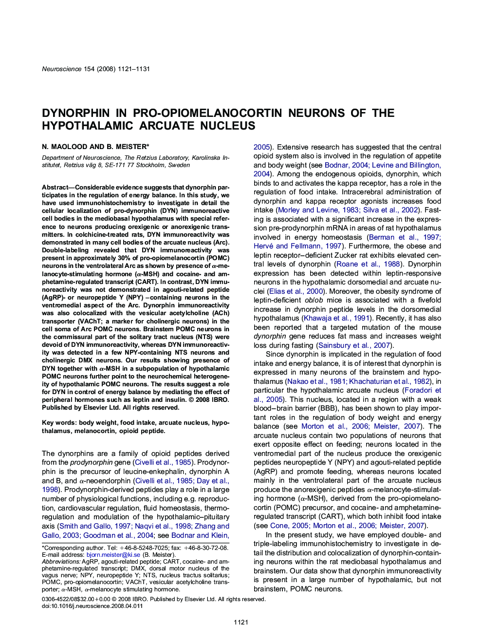 Dynorphin in pro-opiomelanocortin neurons of the hypothalamic arcuate nucleus