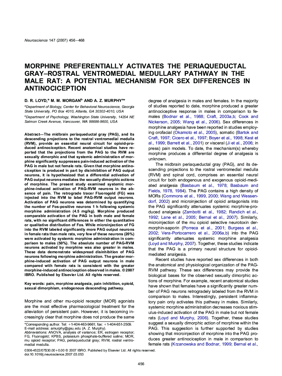 Morphine preferentially activates the periaqueductal gray–rostral ventromedial medullary pathway in the male rat: A potential mechanism for sex differences in antinociception