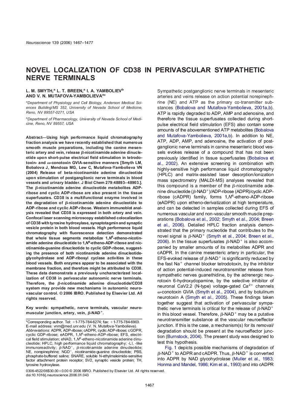 Novel localization of CD38 in perivascular sympathetic nerve terminals