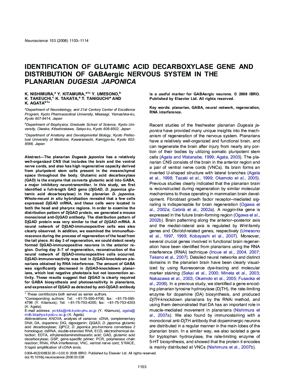 Identification of glutamic acid decarboxylase gene and distribution of GABAergic nervous system in the planarian Dugesia japonica