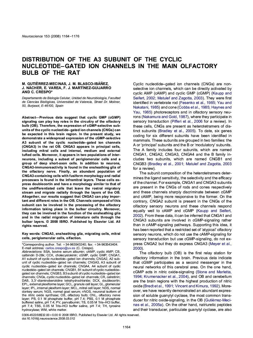 Distribution of the A3 subunit of the cyclic nucleotide–gated ion channels in the main olfactory bulb of the rat