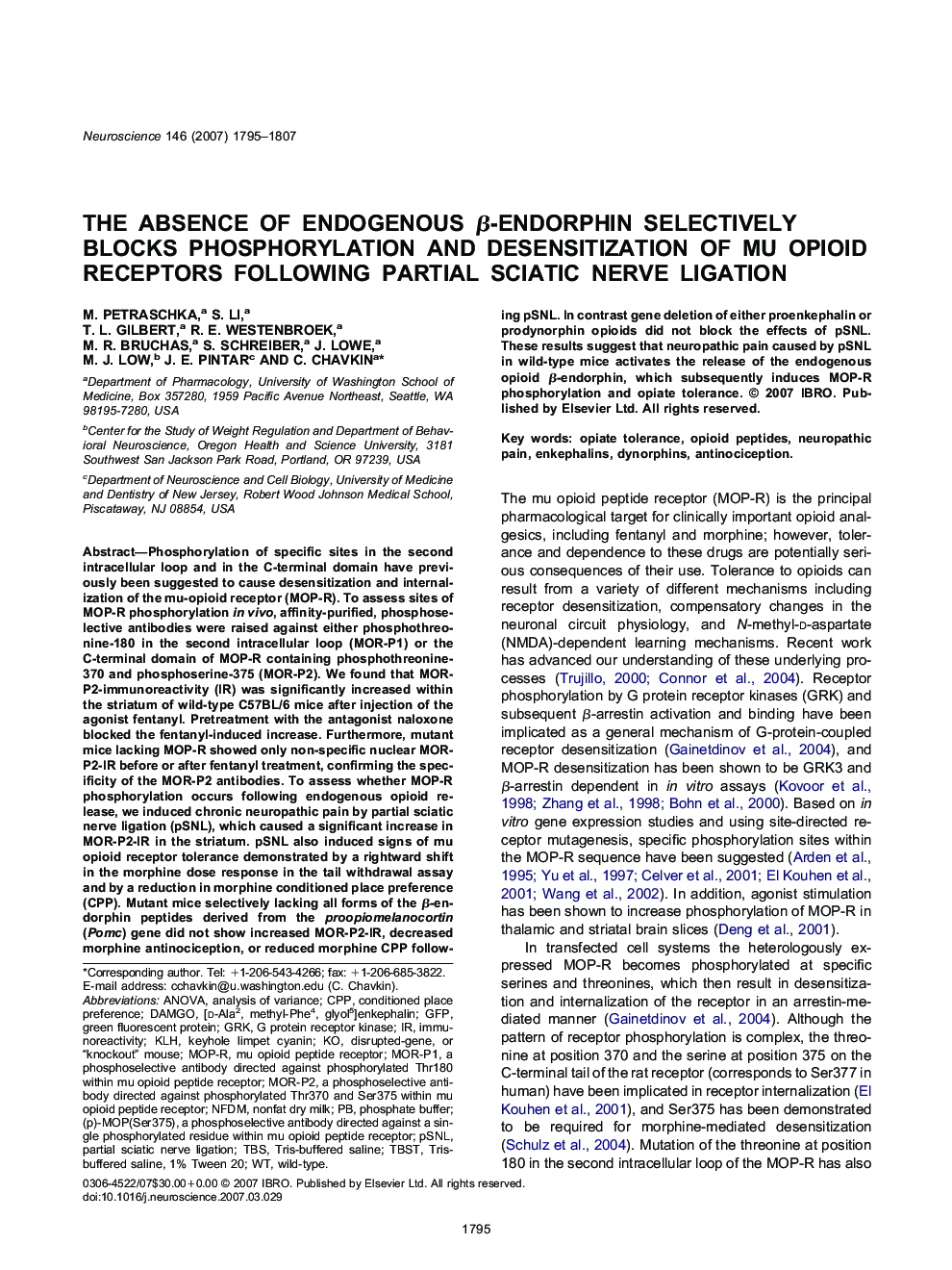 The absence of endogenous β-endorphin selectively blocks phosphorylation and desensitization of mu opioid receptors following partial sciatic nerve ligation