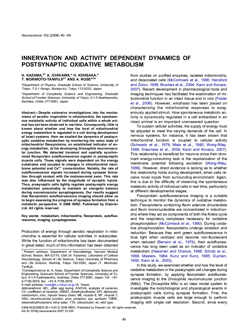 Innervation and activity dependent dynamics of postsynaptic oxidative metabolism