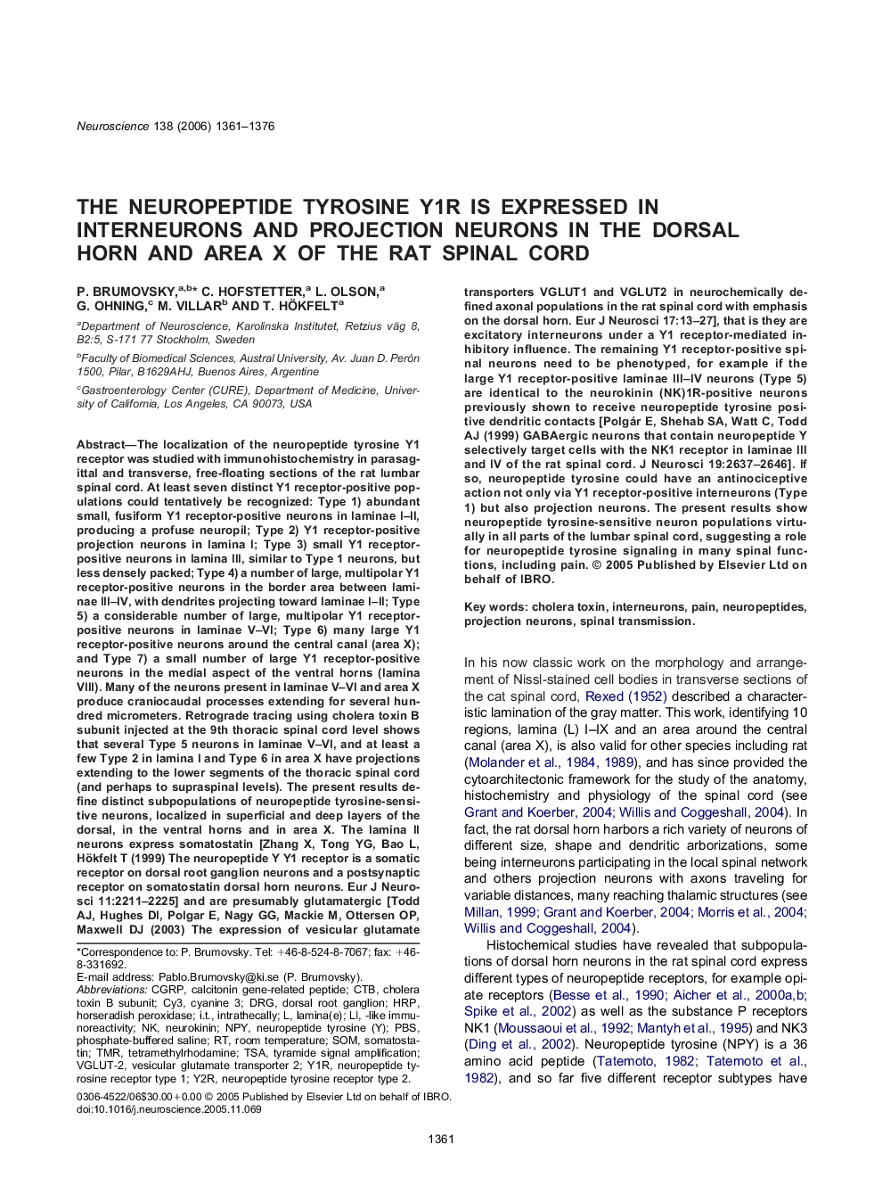 The neuropeptide tyrosine Y1R is expressed in interneurons and projection neurons in the dorsal horn and area X of the rat spinal cord