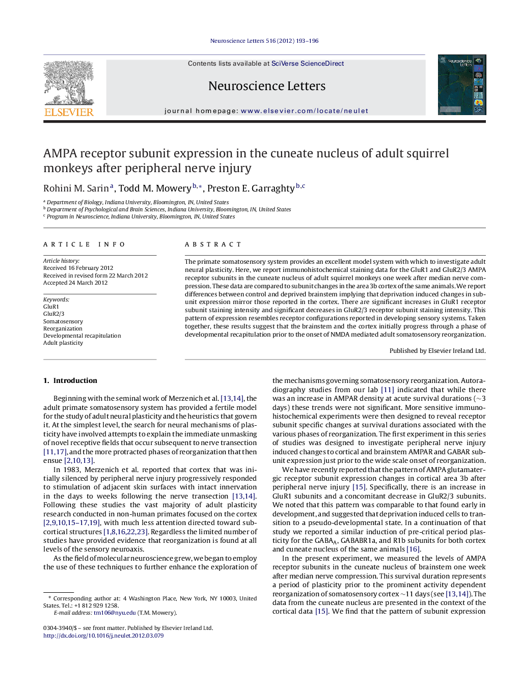 AMPA receptor subunit expression in the cuneate nucleus of adult squirrel monkeys after peripheral nerve injury