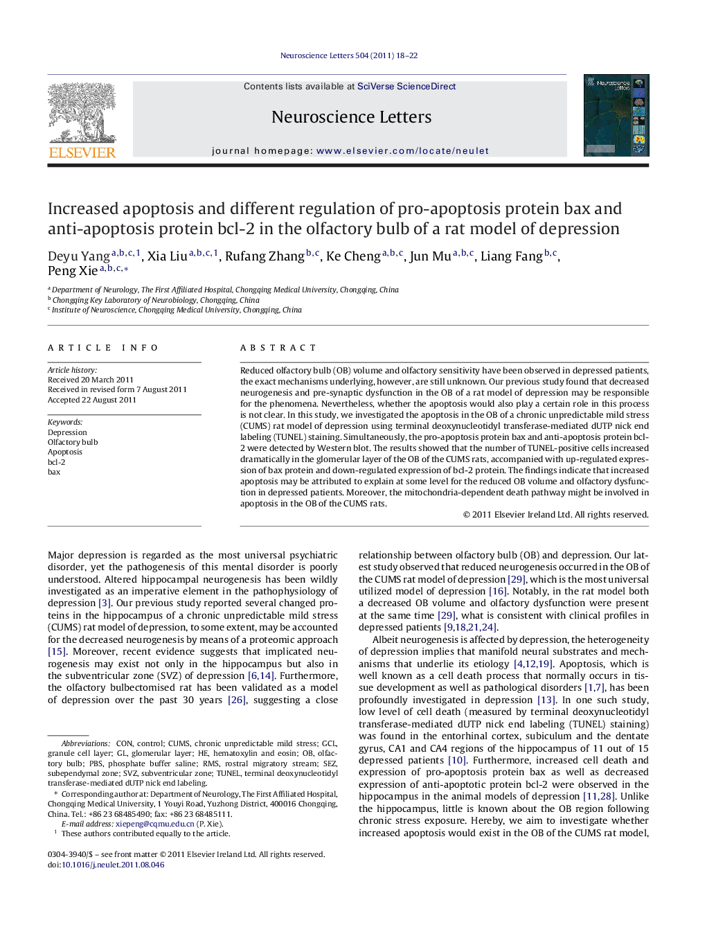 Increased apoptosis and different regulation of pro-apoptosis protein bax and anti-apoptosis protein bcl-2 in the olfactory bulb of a rat model of depression