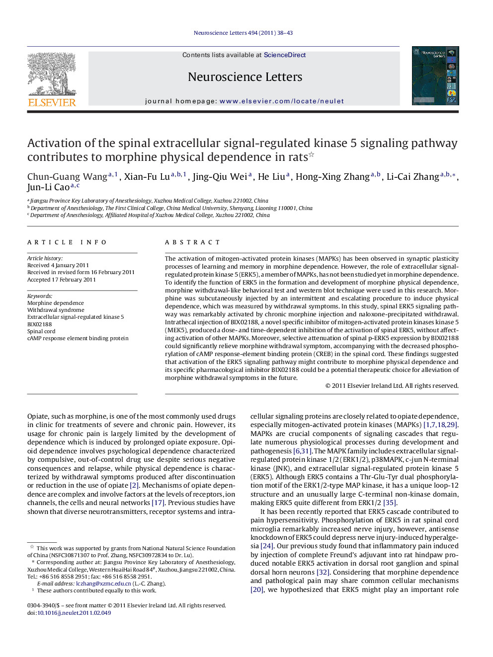 Activation of the spinal extracellular signal-regulated kinase 5 signaling pathway contributes to morphine physical dependence in rats 