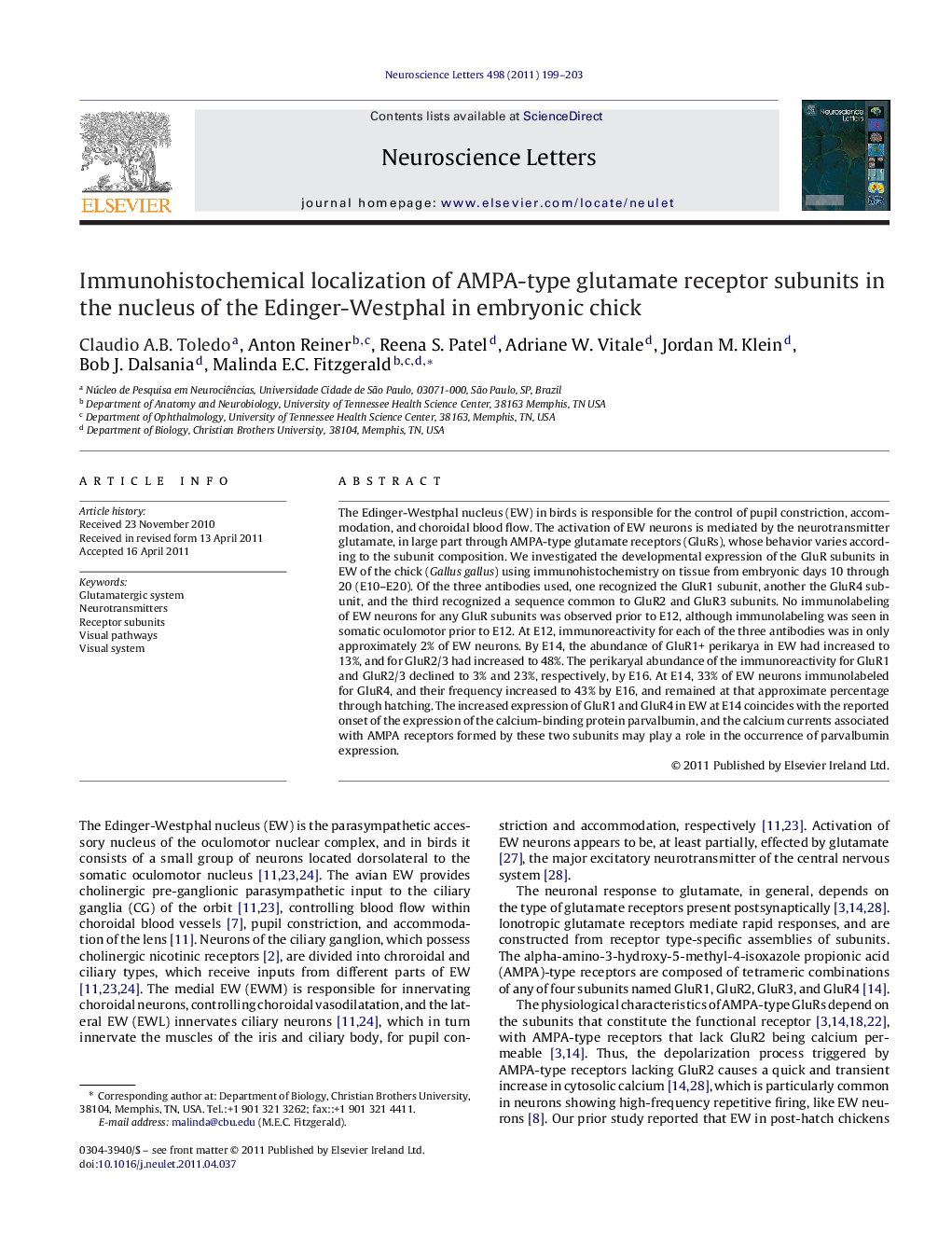 Immunohistochemical localization of AMPA-type glutamate receptor subunits in the nucleus of the Edinger-Westphal in embryonic chick