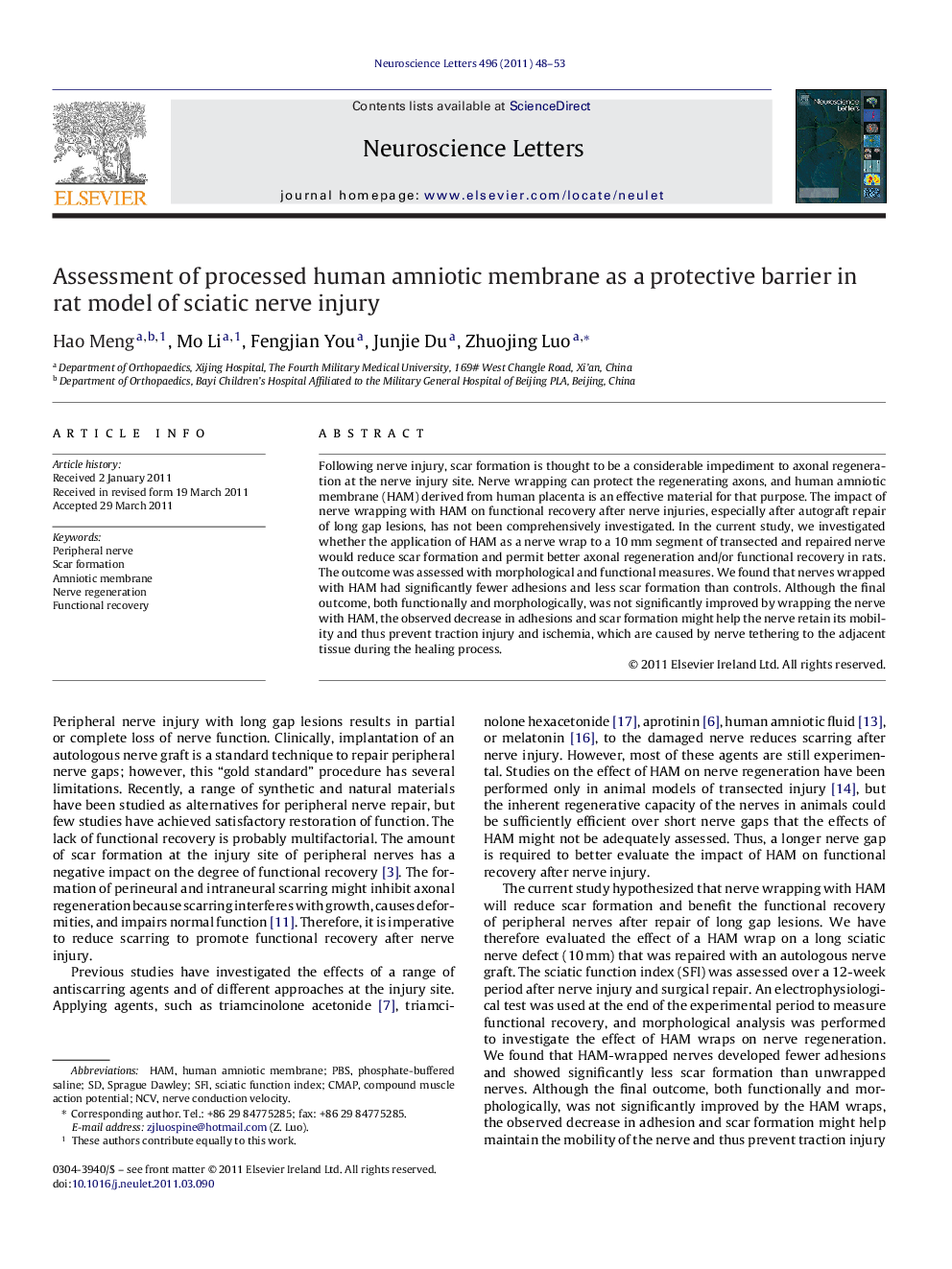 Assessment of processed human amniotic membrane as a protective barrier in rat model of sciatic nerve injury