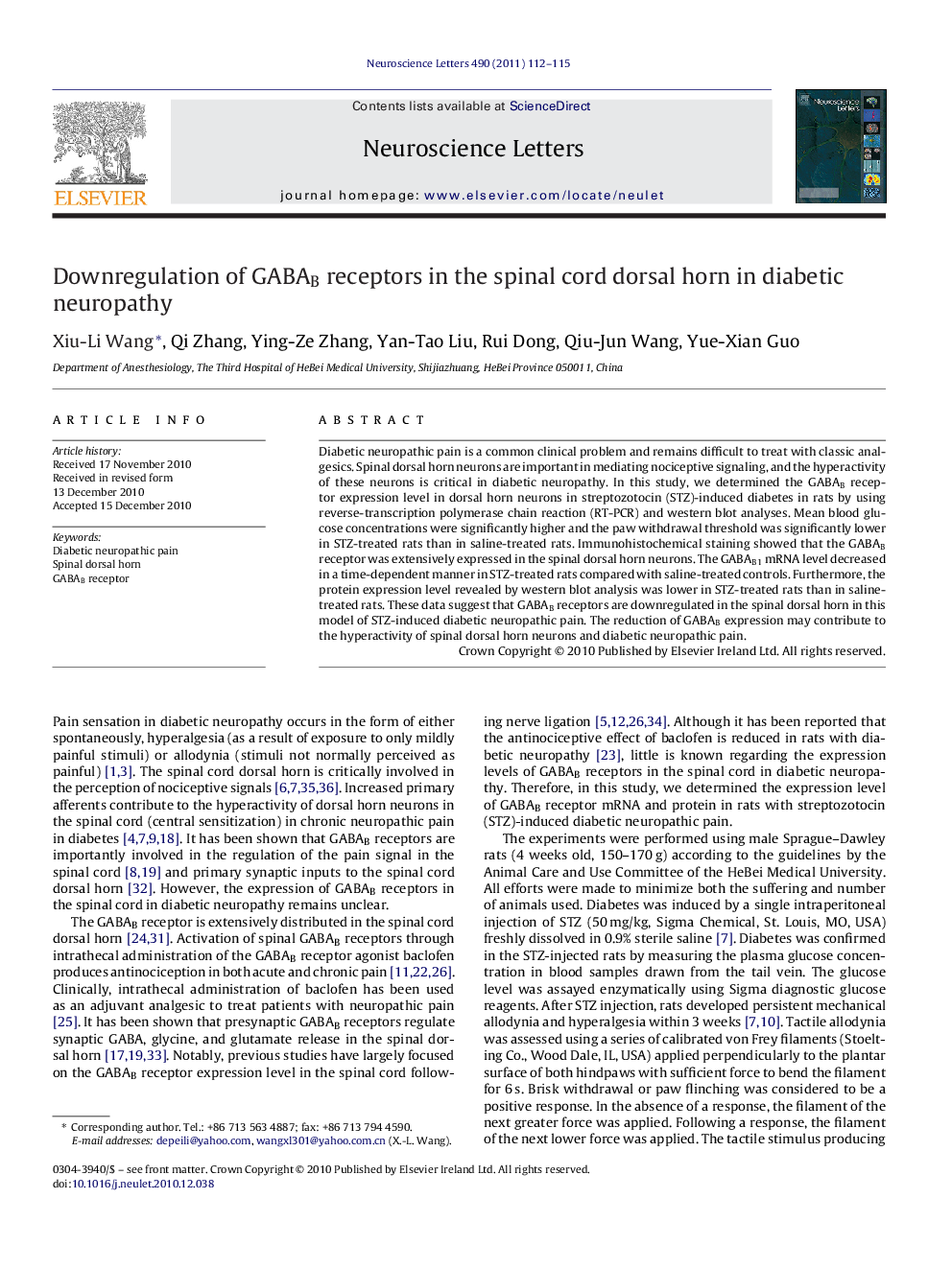 Downregulation of GABAB receptors in the spinal cord dorsal horn in diabetic neuropathy