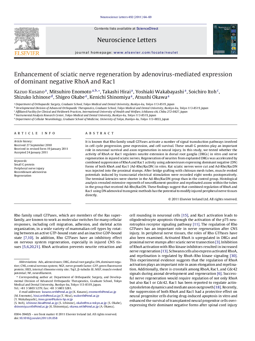 Enhancement of sciatic nerve regeneration by adenovirus-mediated expression of dominant negative RhoA and Rac1