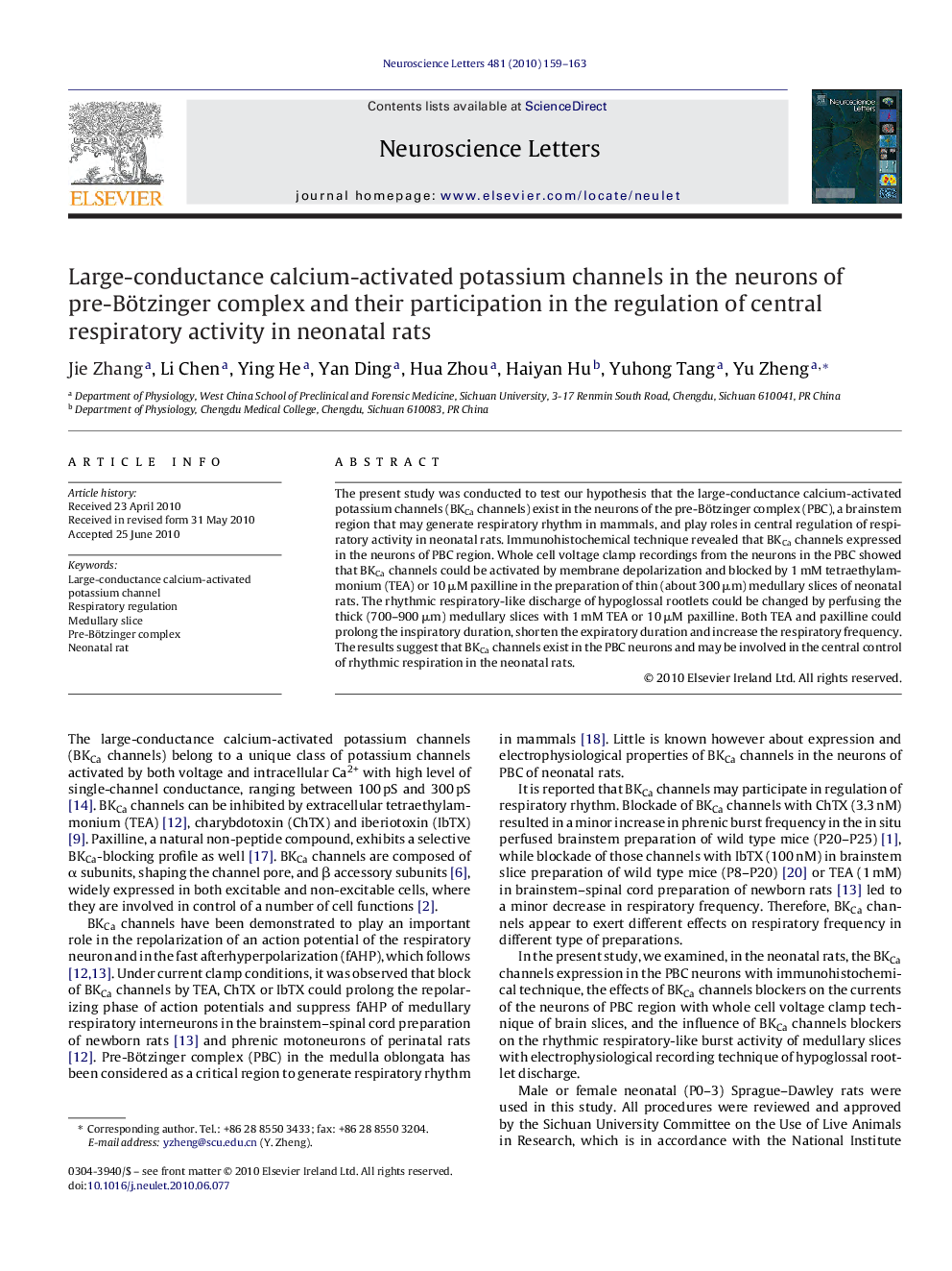 Large-conductance calcium-activated potassium channels in the neurons of pre-Bötzinger complex and their participation in the regulation of central respiratory activity in neonatal rats