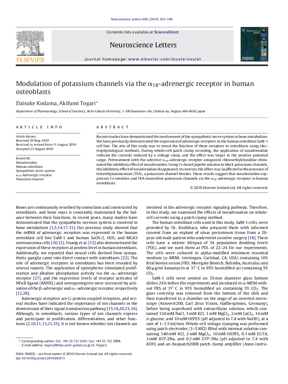 Modulation of potassium channels via the α1B-adrenergic receptor in human osteoblasts