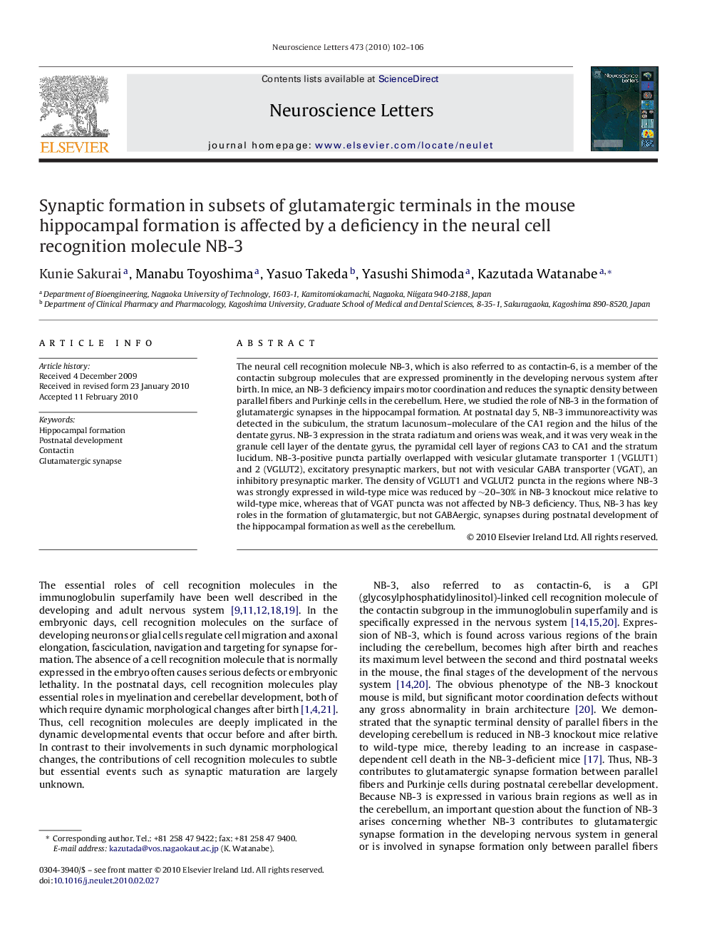 Synaptic formation in subsets of glutamatergic terminals in the mouse hippocampal formation is affected by a deficiency in the neural cell recognition molecule NB-3