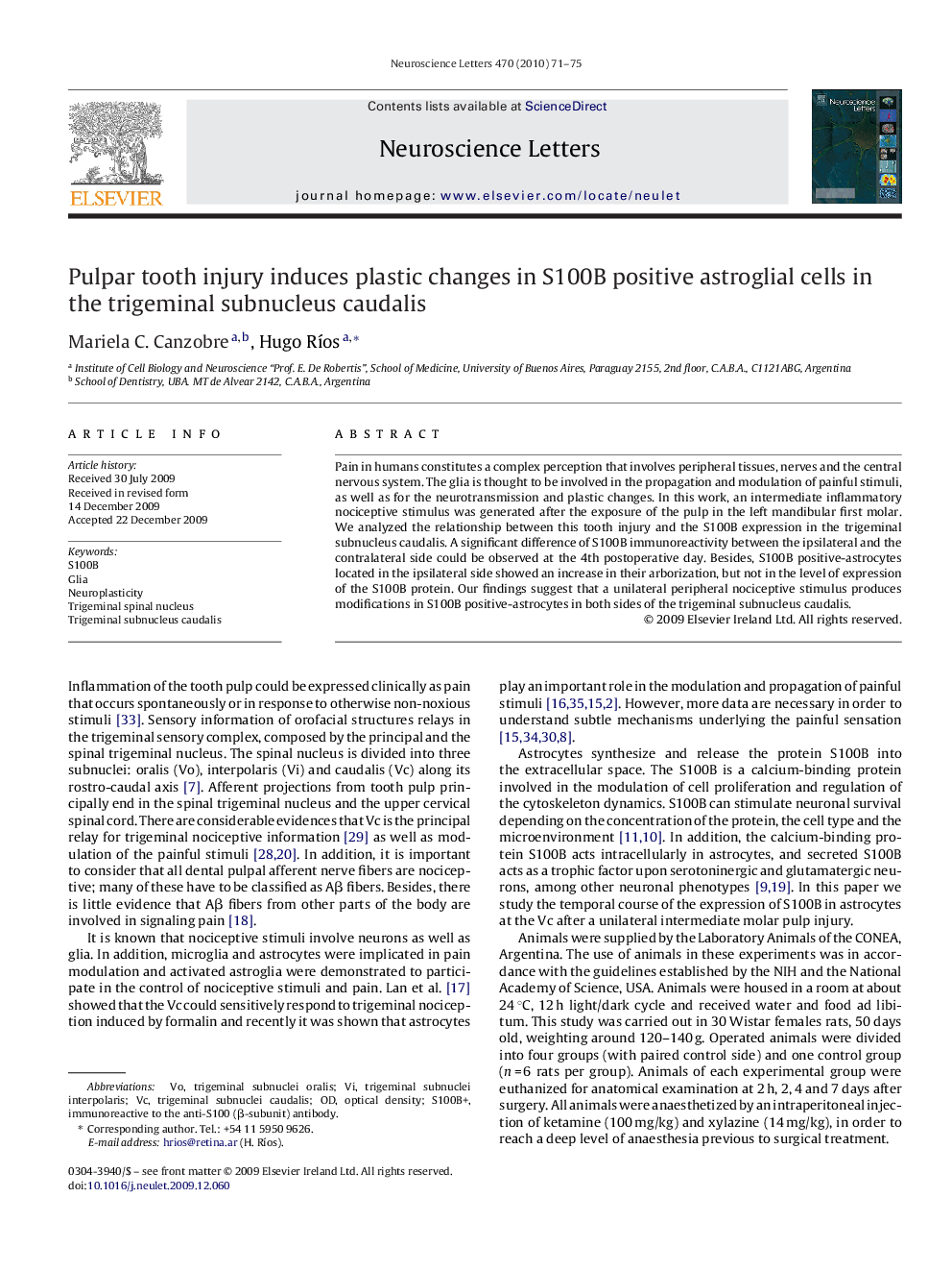 Pulpar tooth injury induces plastic changes in S100B positive astroglial cells in the trigeminal subnucleus caudalis