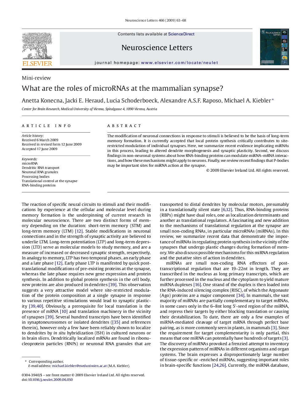 What are the roles of microRNAs at the mammalian synapse?