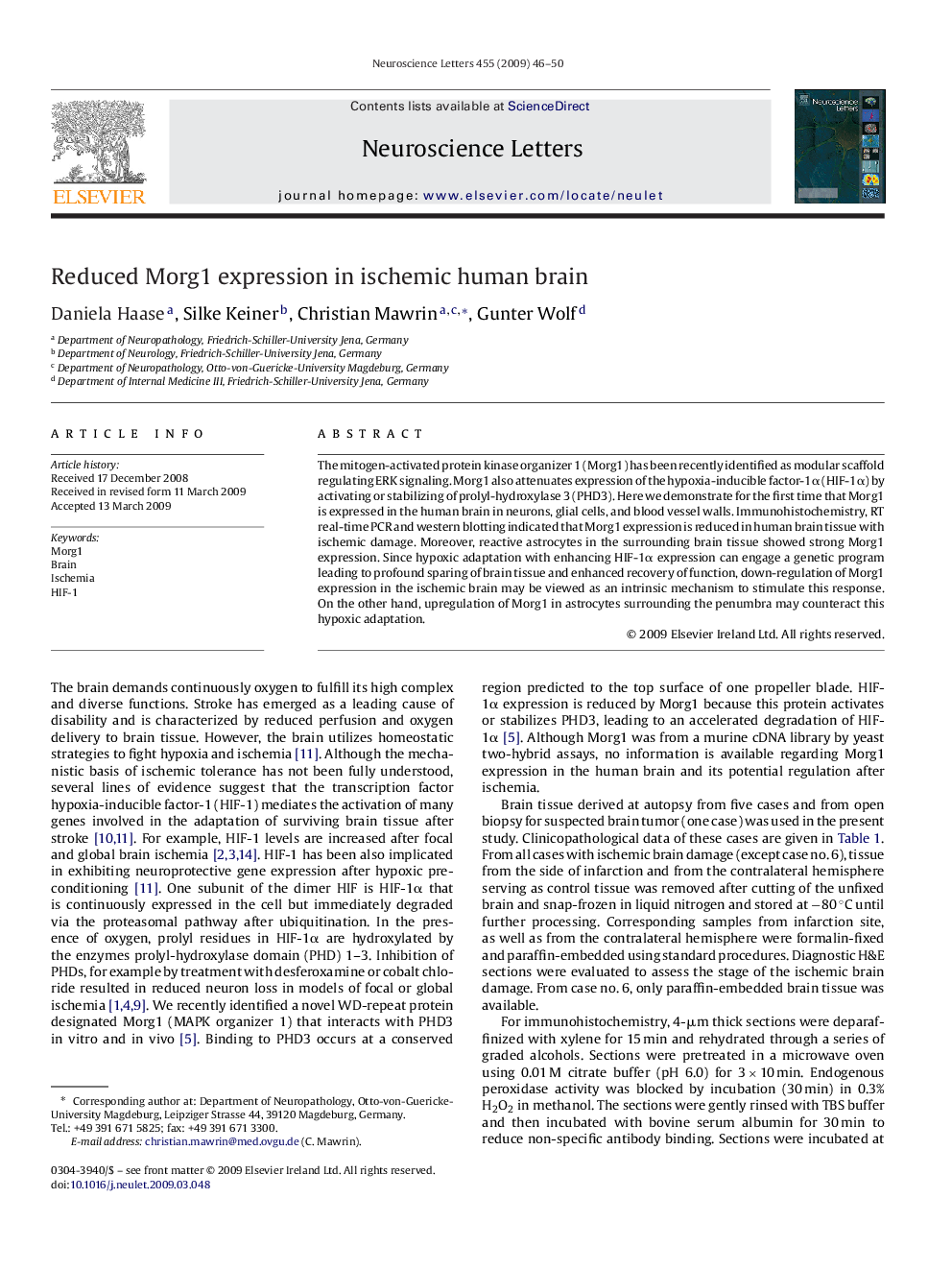 Reduced Morg1 expression in ischemic human brain