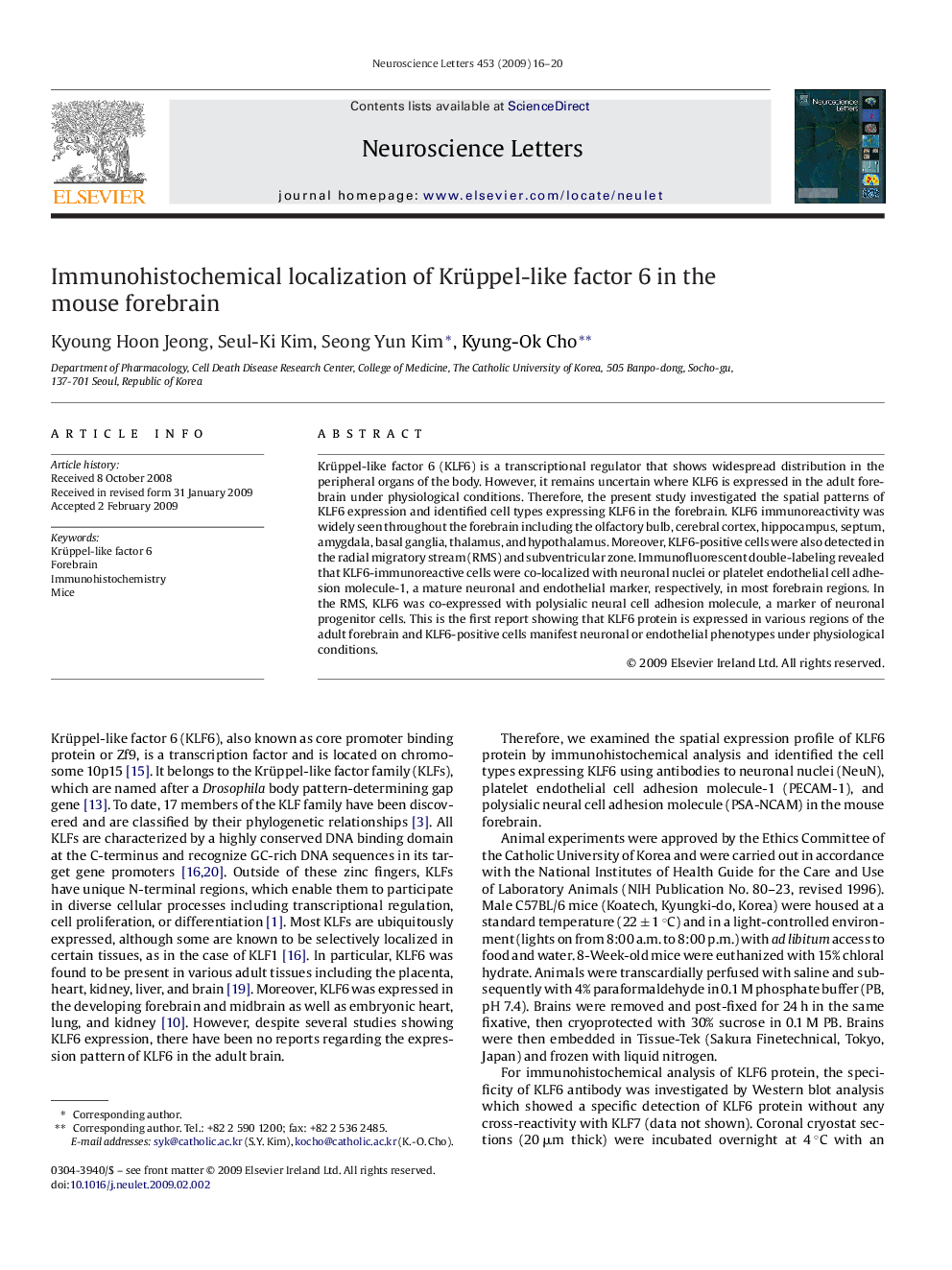 Immunohistochemical localization of Krüppel-like factor 6 in the mouse forebrain