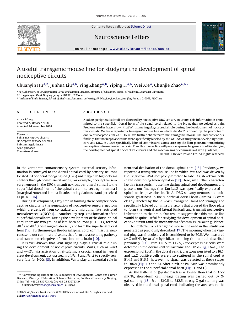 A useful transgenic mouse line for studying the development of spinal nociceptive circuits