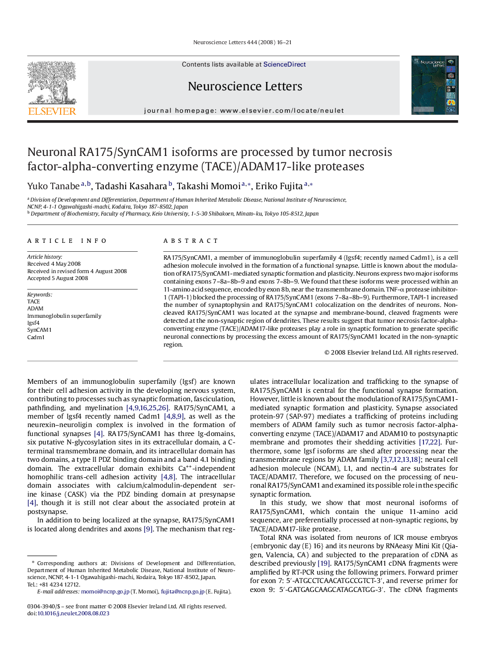 Neuronal RA175/SynCAM1 isoforms are processed by tumor necrosis factor-alpha-converting enzyme (TACE)/ADAM17-like proteases