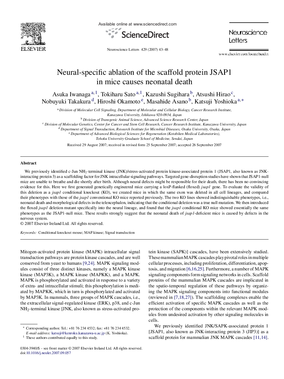 Neural-specific ablation of the scaffold protein JSAP1 in mice causes neonatal death