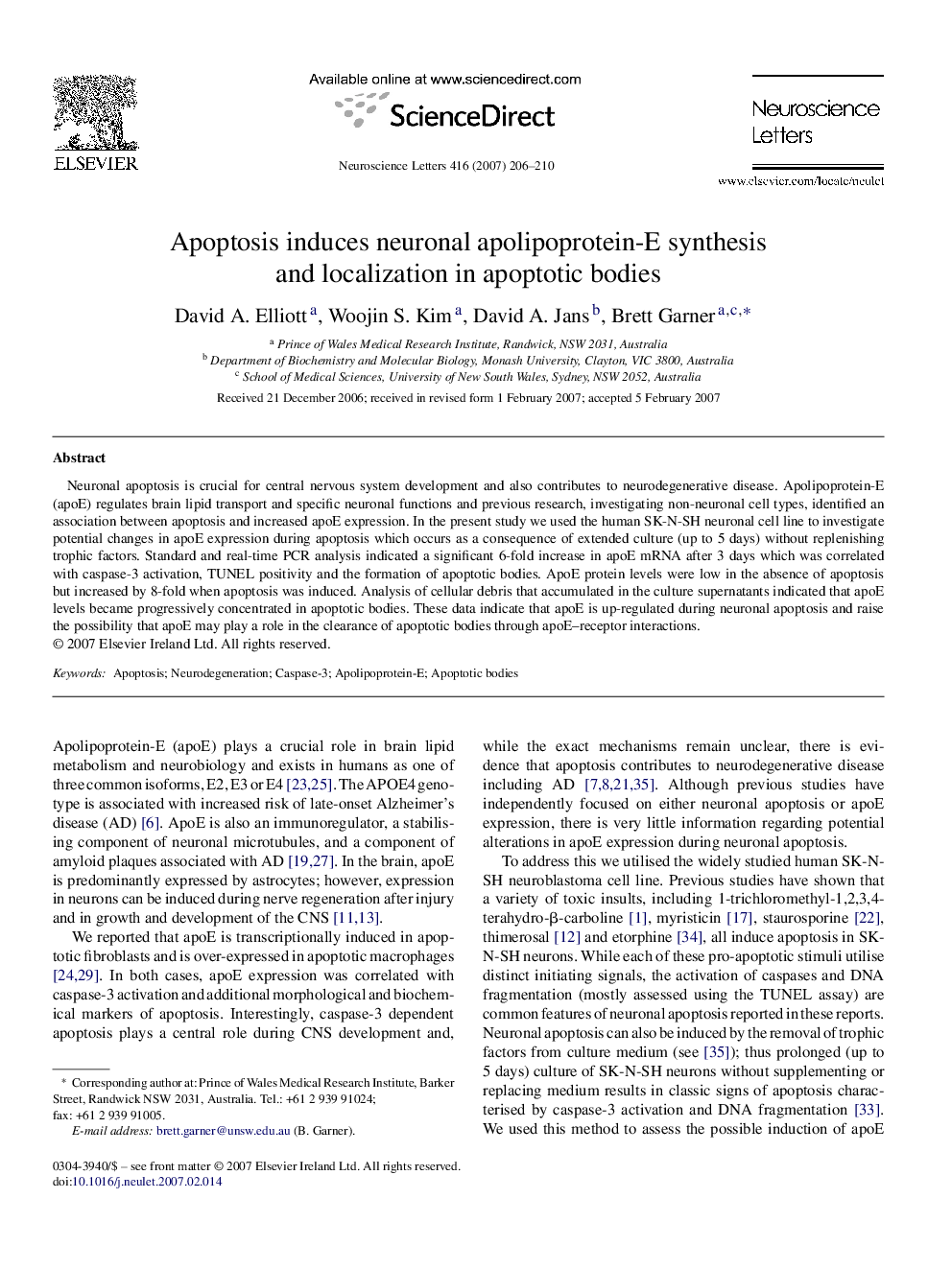 Apoptosis induces neuronal apolipoprotein-E synthesis and localization in apoptotic bodies