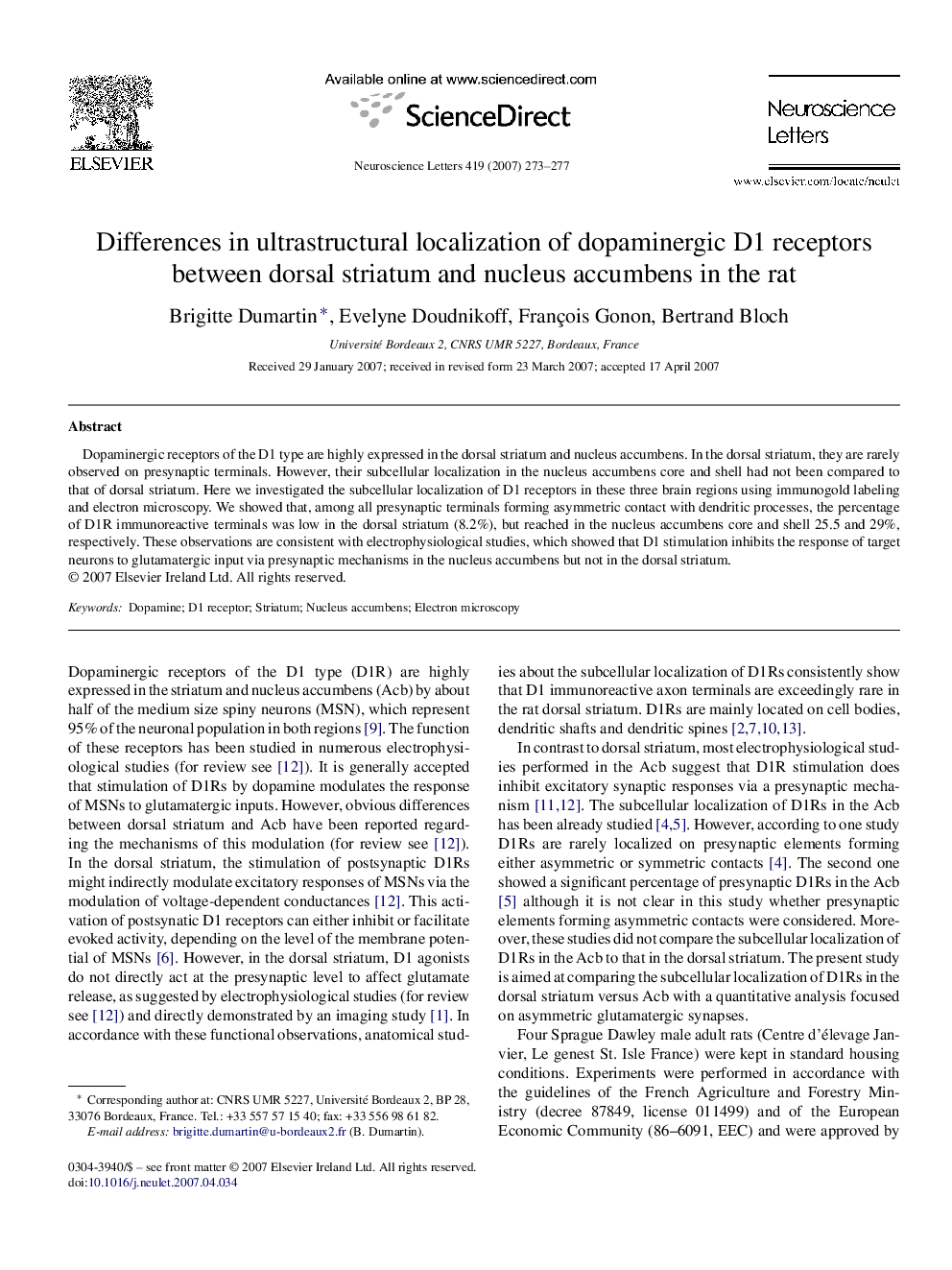 Differences in ultrastructural localization of dopaminergic D1 receptors between dorsal striatum and nucleus accumbens in the rat