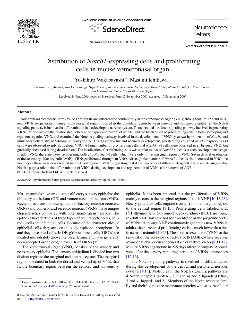 Distribution of Notch1-expressing cells and proliferating cells in mouse vomeronasal organ