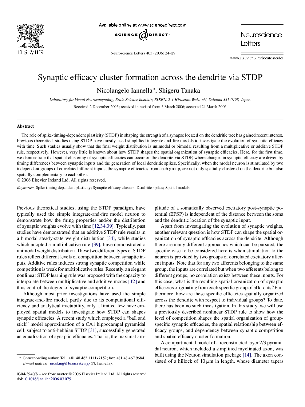 Synaptic efficacy cluster formation across the dendrite via STDP