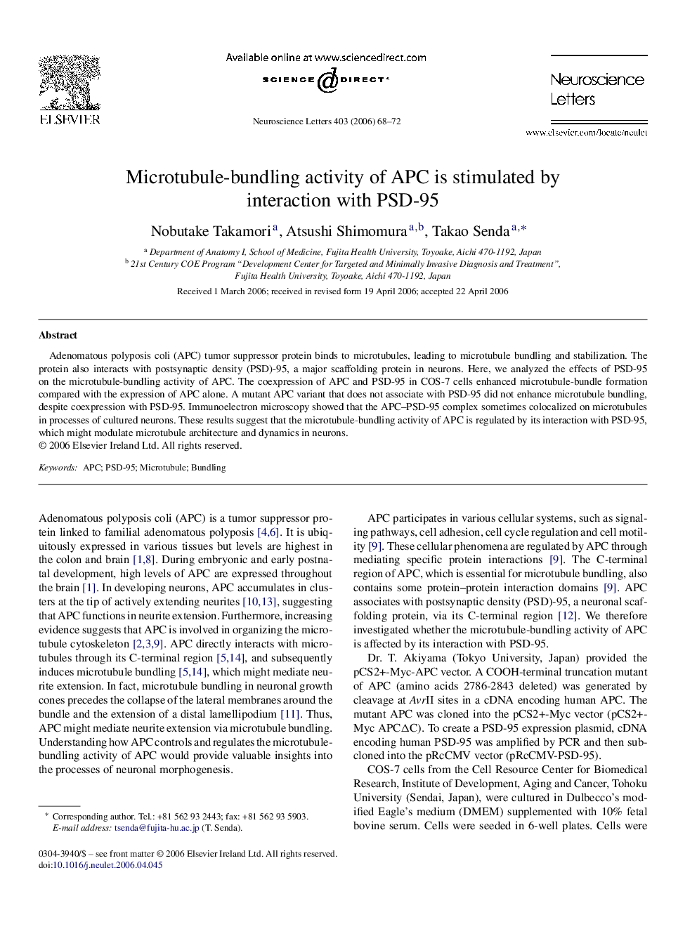 Microtubule-bundling activity of APC is stimulated by interaction with PSD-95