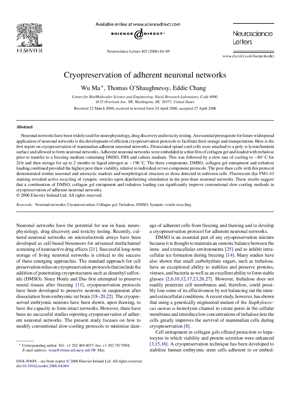 Cryopreservation of adherent neuronal networks