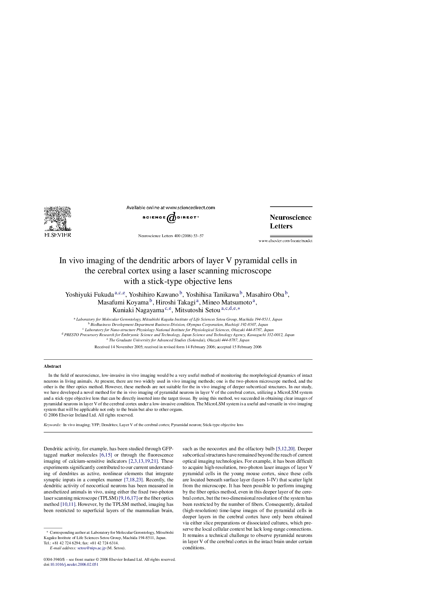 In vivo imaging of the dendritic arbors of layer V pyramidal cells in the cerebral cortex using a laser scanning microscope with a stick-type objective lens