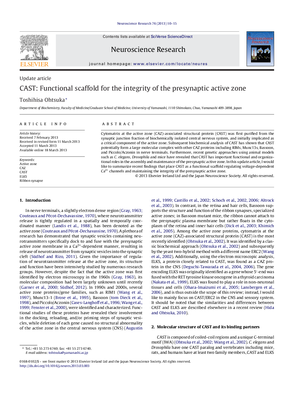 CAST: Functional scaffold for the integrity of the presynaptic active zone