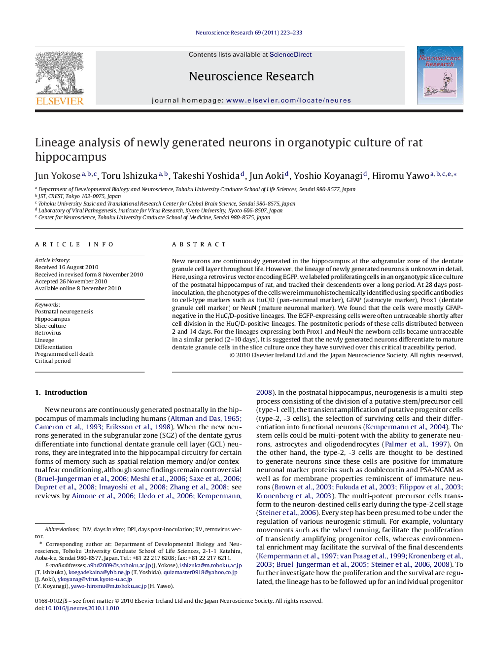 Lineage analysis of newly generated neurons in organotypic culture of rat hippocampus