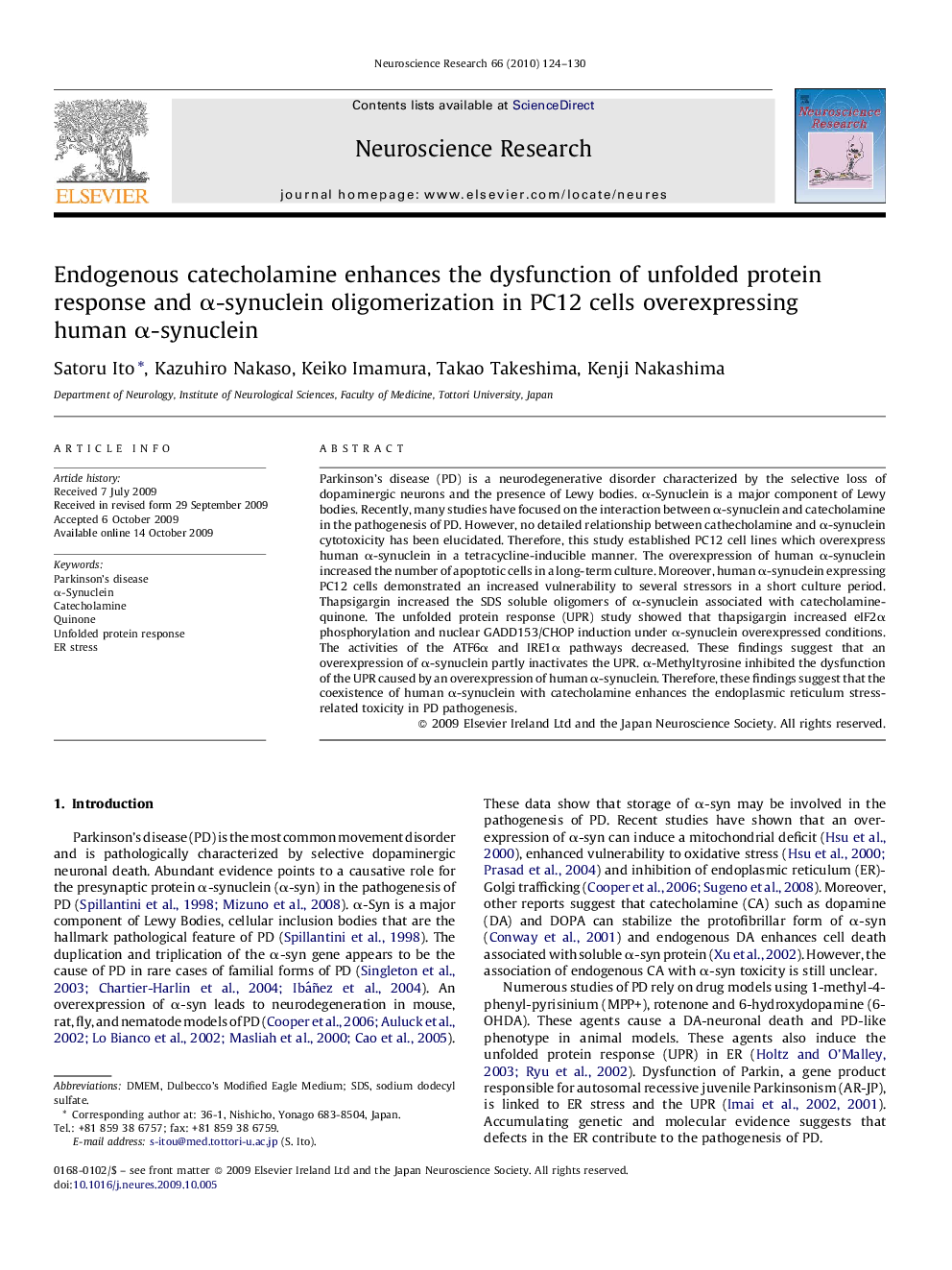 Endogenous catecholamine enhances the dysfunction of unfolded protein response and Î±-synuclein oligomerization in PC12 cells overexpressing human Î±-synuclein