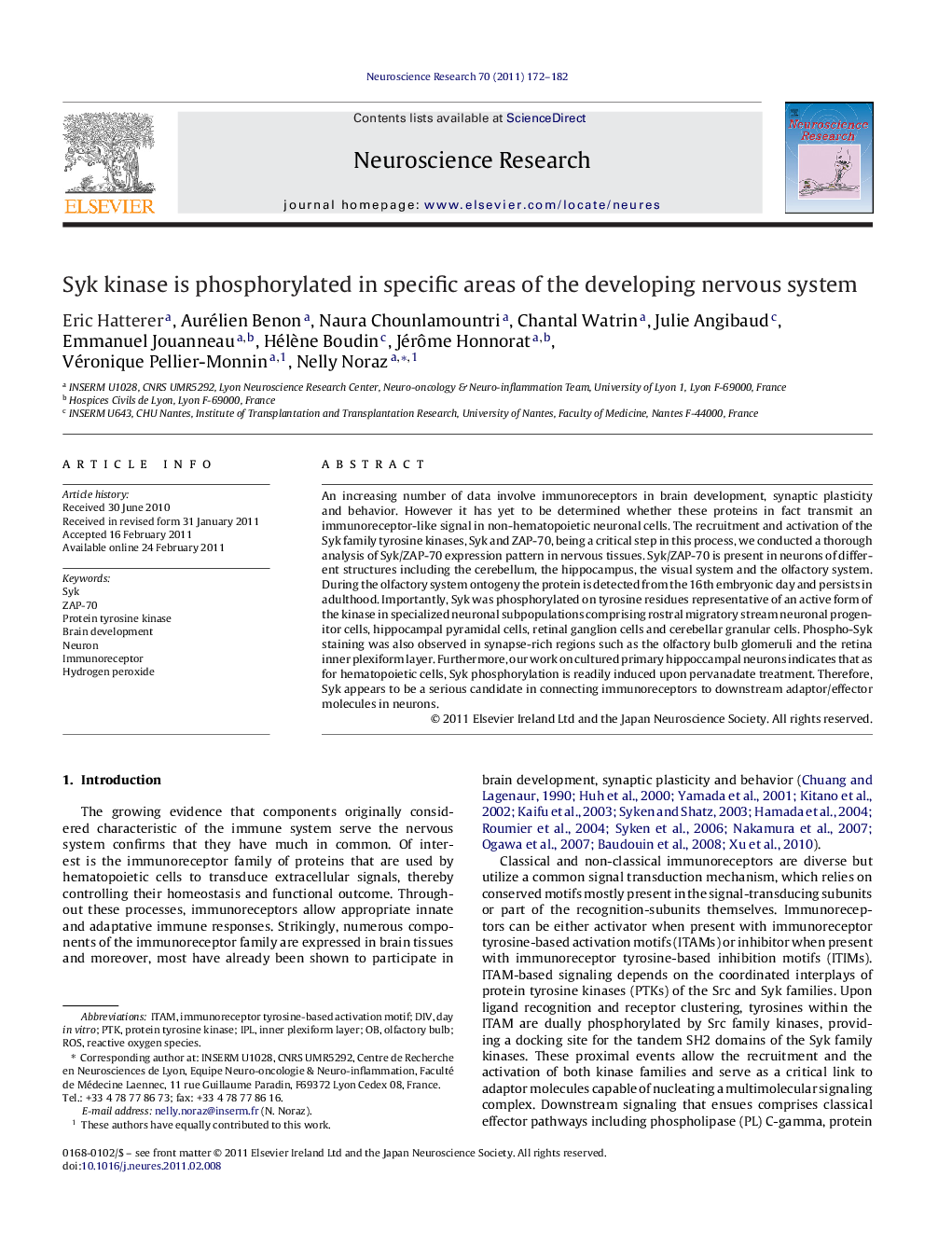 Syk kinase is phosphorylated in specific areas of the developing nervous system