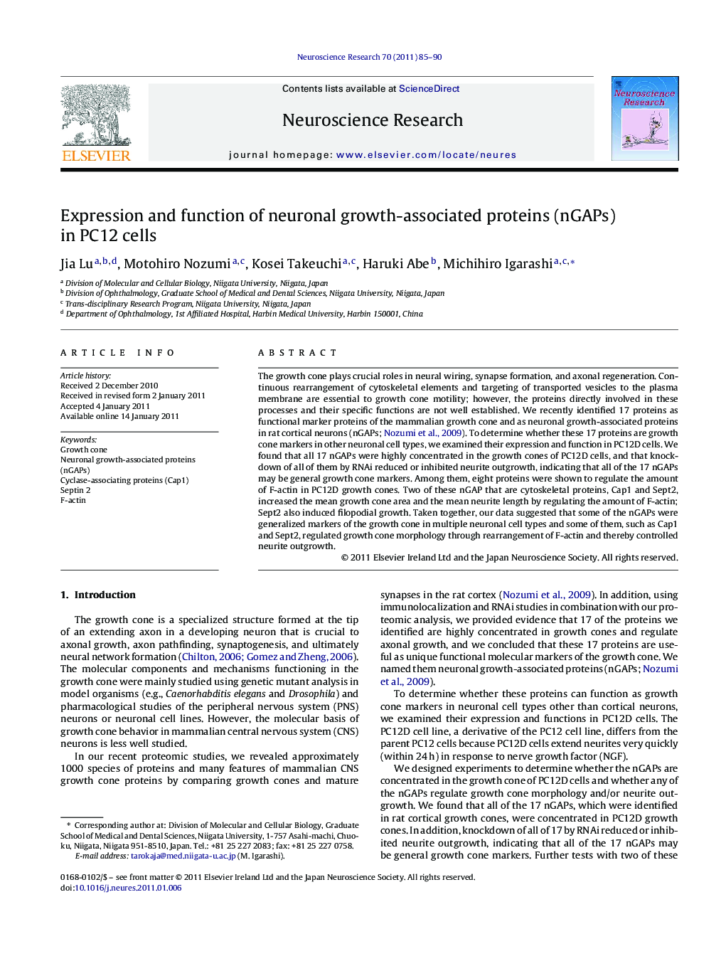 Expression and function of neuronal growth-associated proteins (nGAPs) in PC12 cells