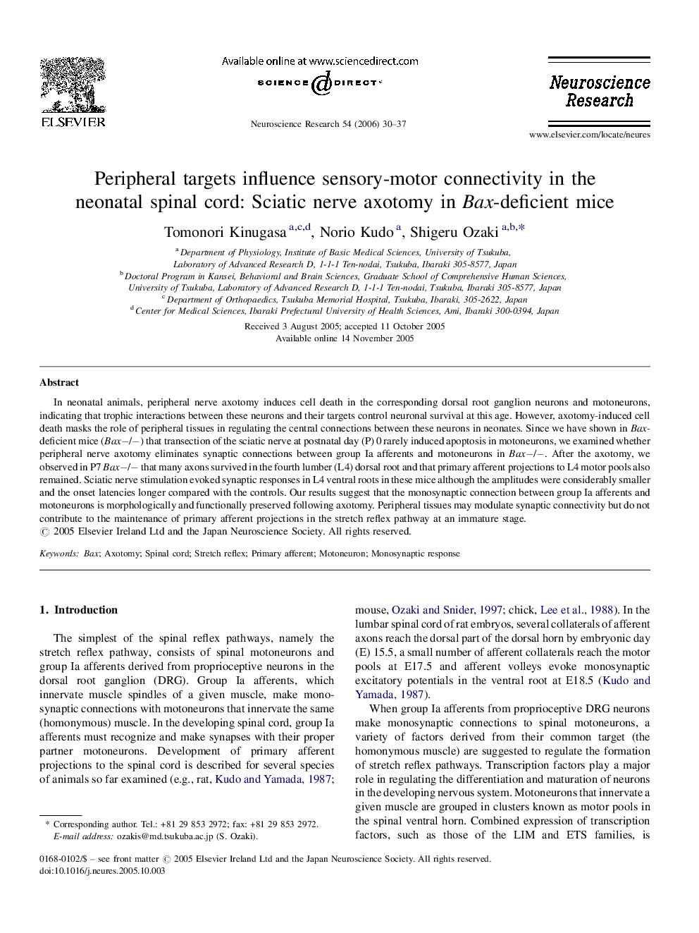 Peripheral targets influence sensory-motor connectivity in the neonatal spinal cord: Sciatic nerve axotomy in Bax-deficient mice