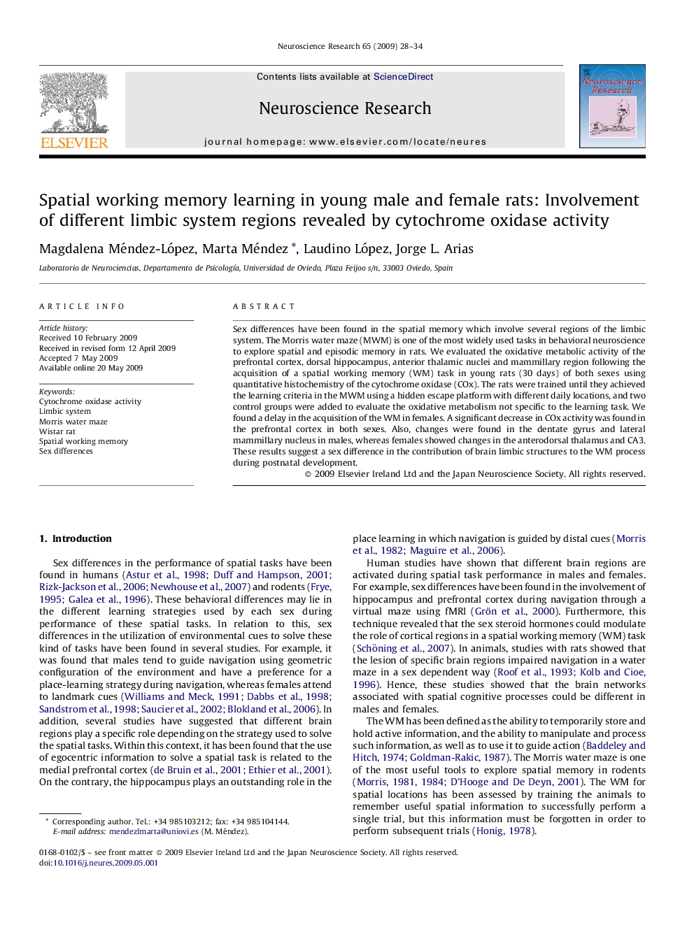 Spatial working memory learning in young male and female rats: Involvement of different limbic system regions revealed by cytochrome oxidase activity