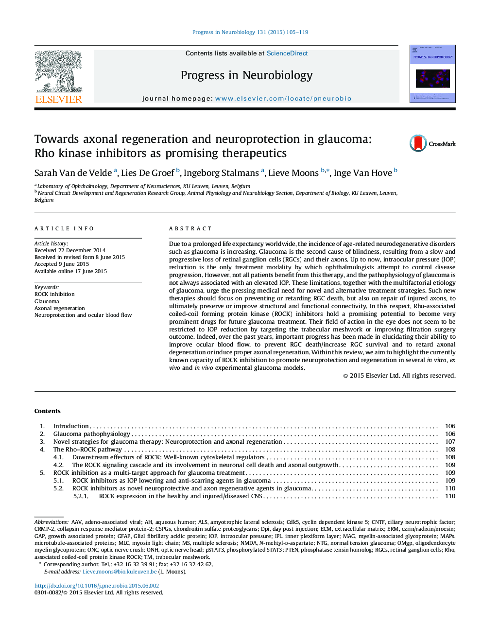 Towards axonal regeneration and neuroprotection in glaucoma: Rho kinase inhibitors as promising therapeutics